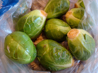 Close up of Brussel sprouts