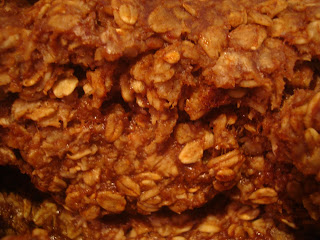 Closeup of finished granola showing oats