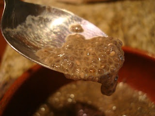 Chia seed pudding dripping off end of spoon