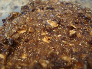 Up close of High Raw Vegan Chocolate-Coconut-Chia-Oat Dessert/Energy Bars