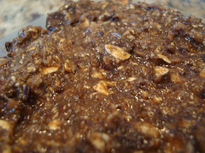 Close up of No Bake Vegan Chocolate-Coconut-Chia-Oat Dessert Squares/Energy Bars