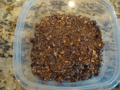 No Bake Vegan Chocolate-Coconut-Chia-Oat Dessert Squares/Energy Bars in clear freezer container