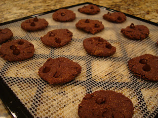 Finished Raw Vegan Chocolate Chocolate-Chip Cookies on dehydrator tray