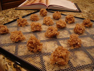 Shapped macaroon balls on dehydrator tray