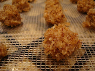 Close up of shaped macaroons on dehydrator tray