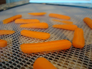 Up close of sliced carrots on dehydrator tray