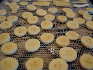 Banana slices on dehydrator tray - 17