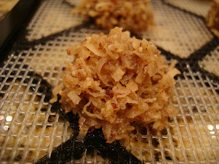 Close up of Vegan Blondie Macaroon on dehydrator tray - 3