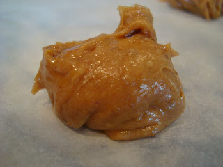 Close up of Vegan Peanut Butter Cookie Dough Ball on dehydrator tray