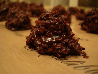 Chocolate Macaroon close up on dehydrator tray - 15