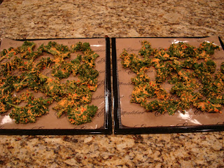 Mixed up kale and blended mixture placed on lined dehydrator tray