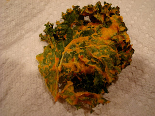 Close up of dehydrated Kale Chip on paper towel