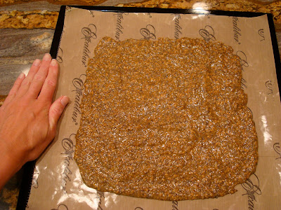 Blended ingredients for Seeds Only Crackers on dehydrator tray