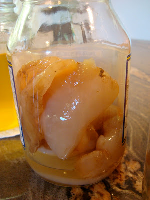 Mother and Baby Scoby in jar
