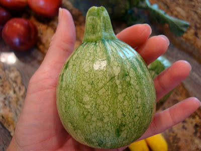 Hand holding 8-Ball Squash - 15