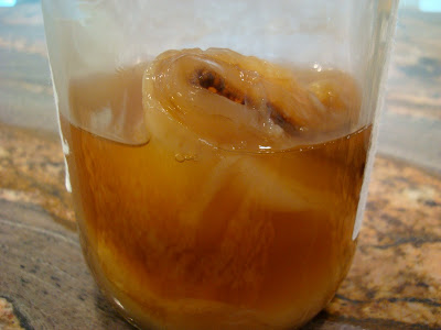 Close up of Scoby in jar