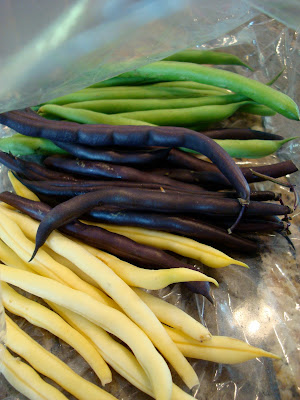 Yellow, Purple, and Green Beans