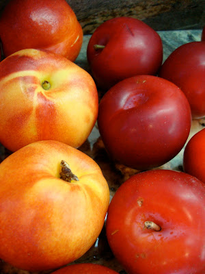 Close up of fruit - 15