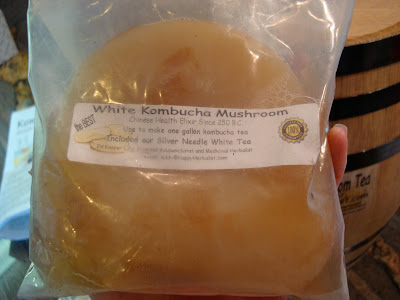 Close up of White Kombucha Mushroom im bag