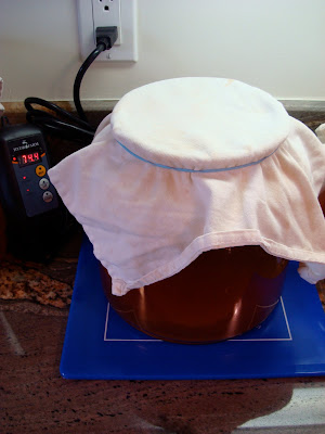 Jar of kombucha on pad with thermostat