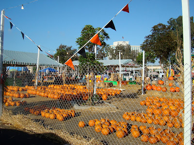 Outside fence of pumpkin patch