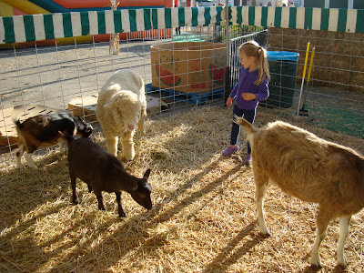 Young girl in pen with goat