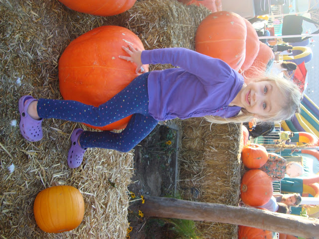 Young girl sitting on large pumpkin