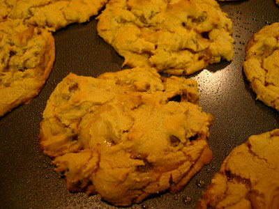 Vegan GF Peanut Butter Caramel Chocolate Chip Cookies with Peanut Flour close up