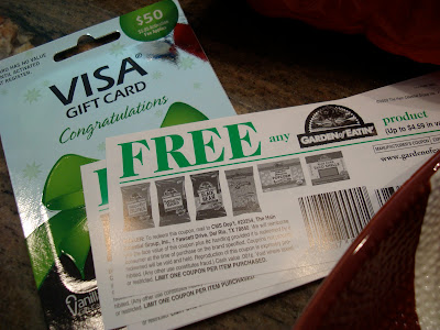 Visa Gift Card and coupons for chips