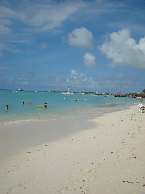 Beach with swimmers in ocean