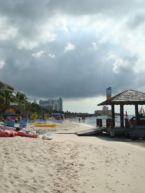 View looking down beach at palm trees and people