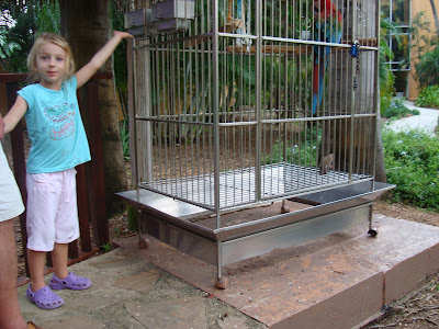 Little girl standing by parrot in cage
