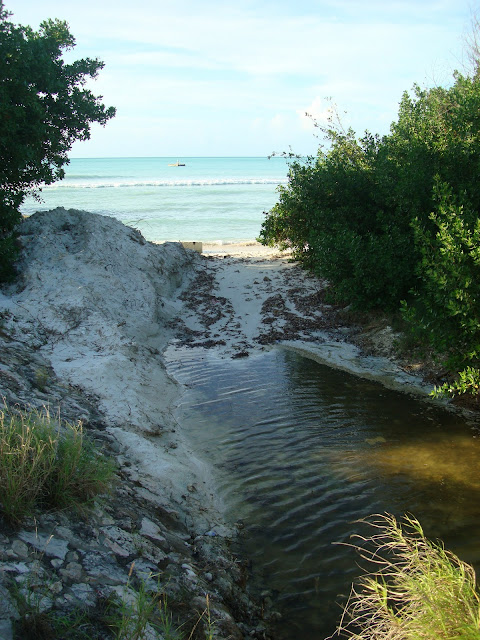 Pathway to beach filled with water