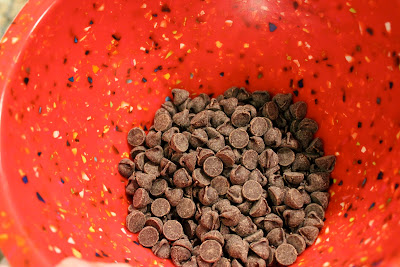 Chocolate chips in bowl