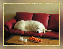 Asleep on the couch