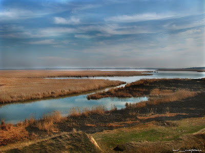 undeva in Dobrogea