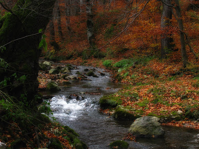 Toamna-Autumn-Herbst-Otoño-Φθινόπωρο