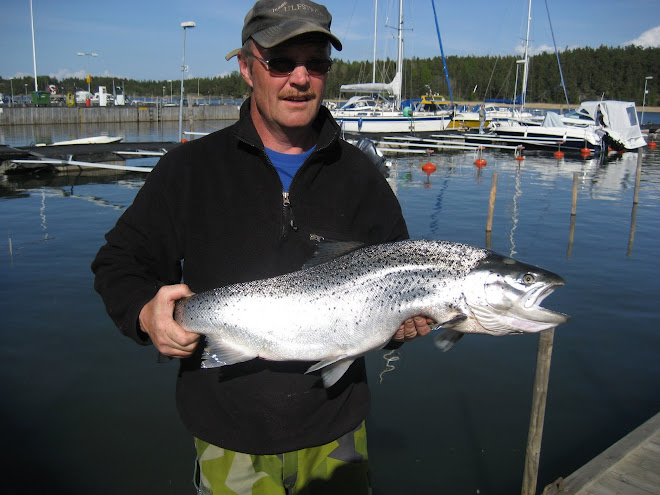 Grym Öring 12 maj,ca.7,5kg.