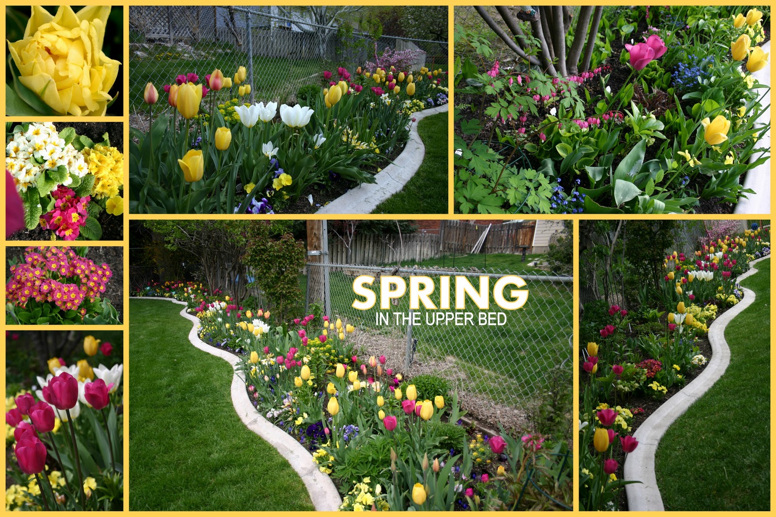 "WHEN WORDS FAIL, FLOWERS SPEAK" Sowing the Seeds