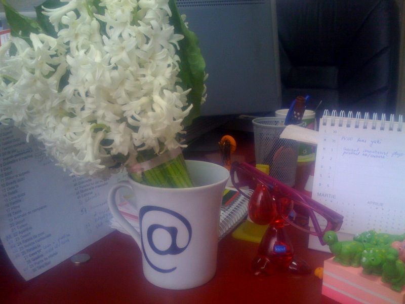 [primavara+la+birou.jpg]