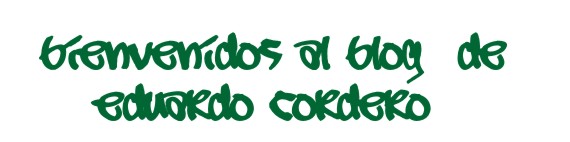 Auditoria Informatica Documentacion Del Plan De Contingencia