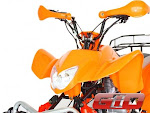 Gio Beast 200cc ATV