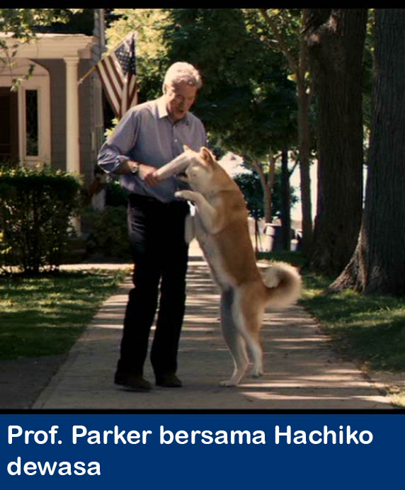My Films Synopsis HACHIKO A DOG'S STORY