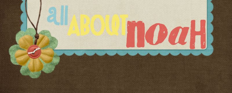 All About Noah