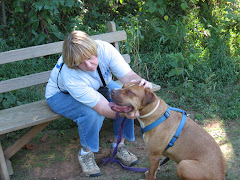 I love getting scratched...