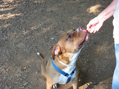 and take them very gently from your hand