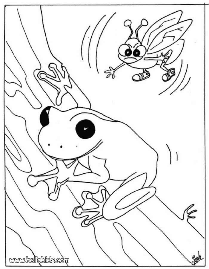 a to z reptile coloring pages - photo #41