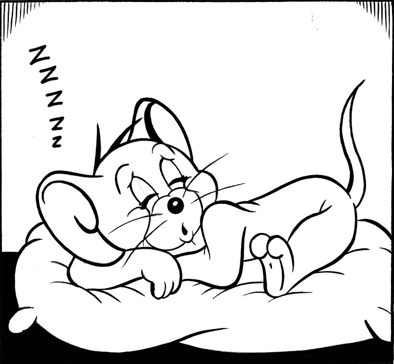 Tom and Jerry Cartoon 