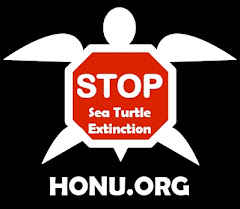 Stop Sea Turtle Extinction