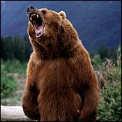 bear+roar.jpg